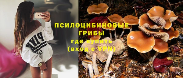мяу мяу кристалл Нефтекумск