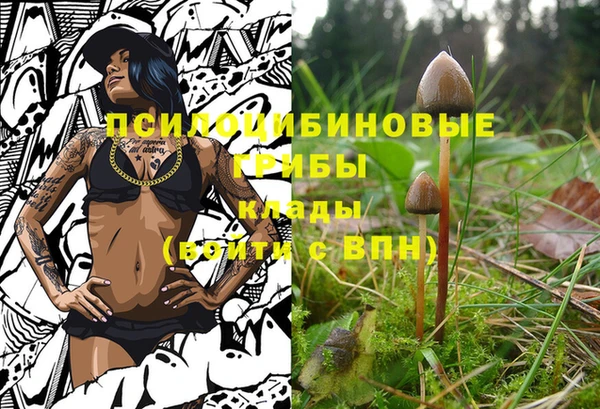 метадон Нея