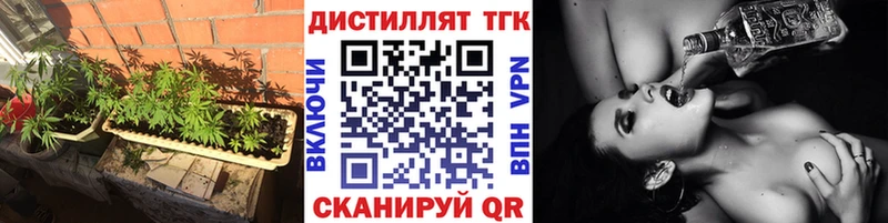 Купить где  Павловск  ТГК концентрат 